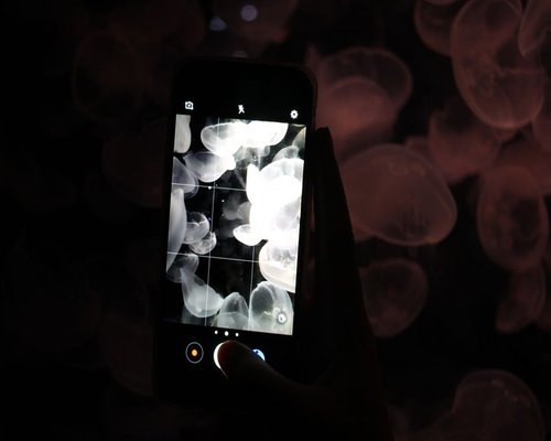 Smartphone interface wall exhibition